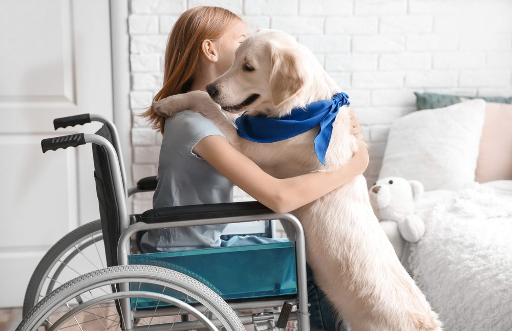 emotional support animal providing comfort