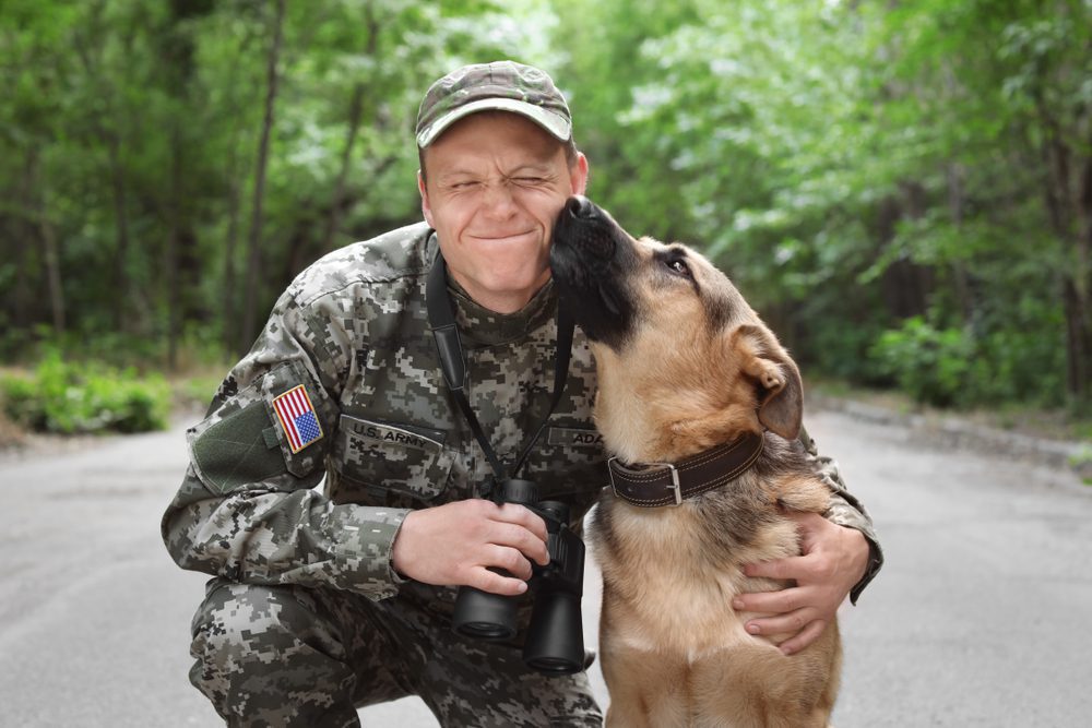 german shepherd licking US soldier