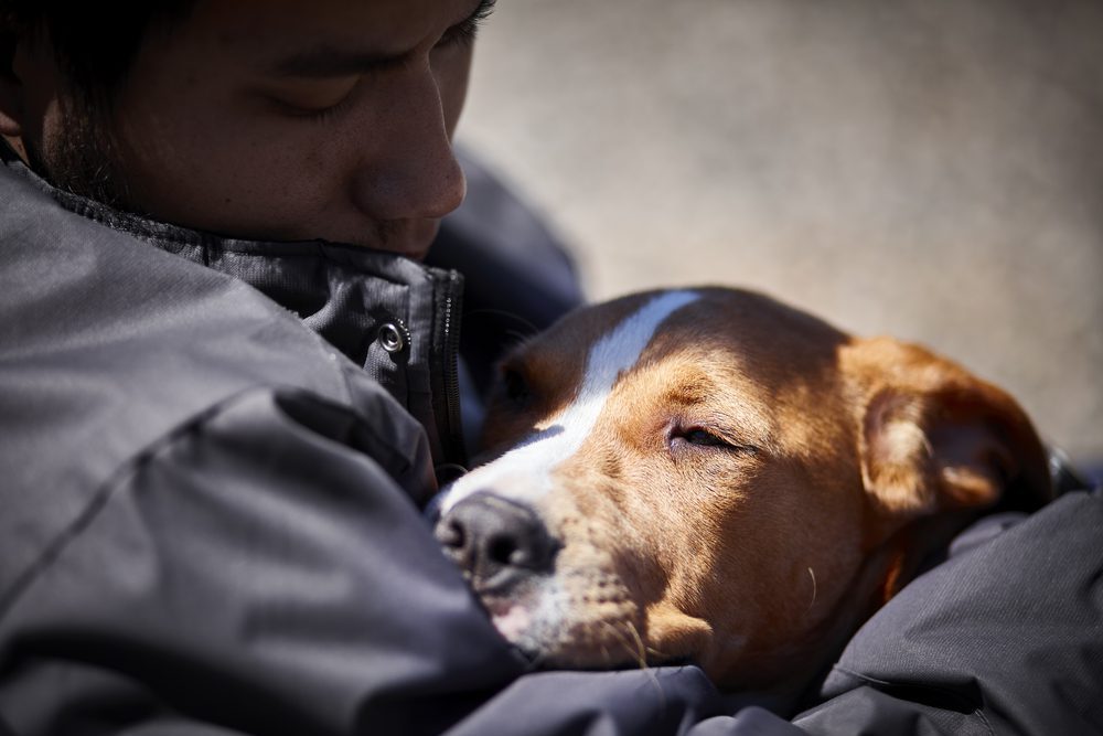 man holding psychiatric service dog