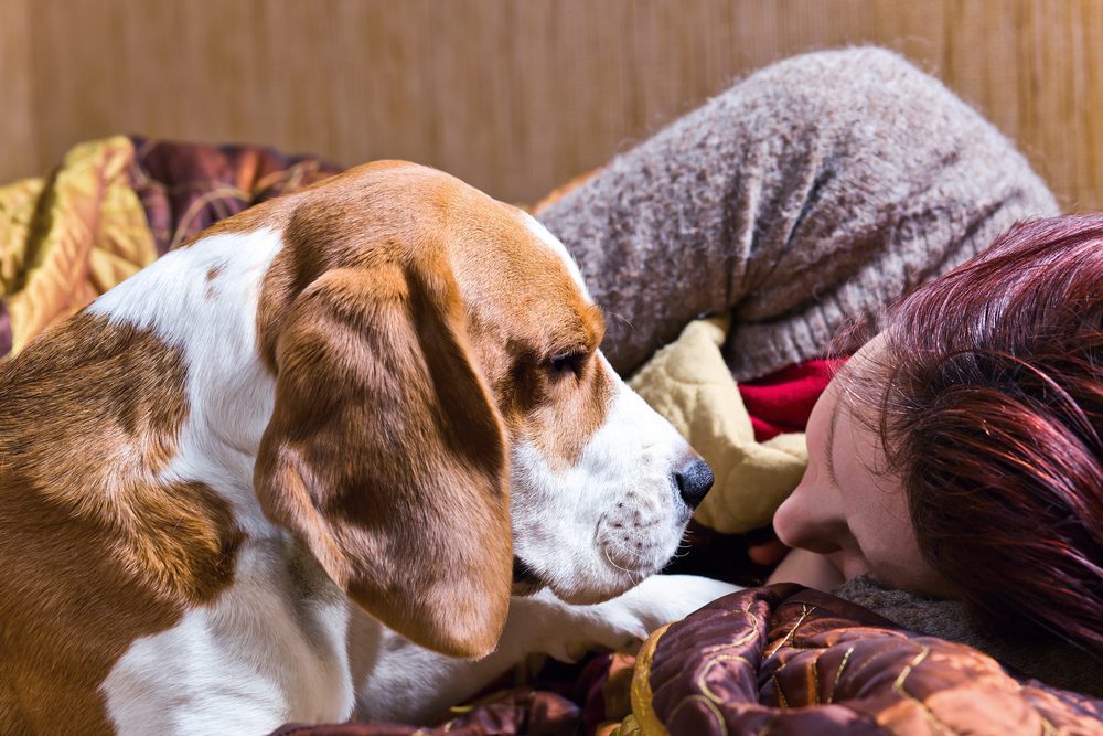 dog comforting woman laying down