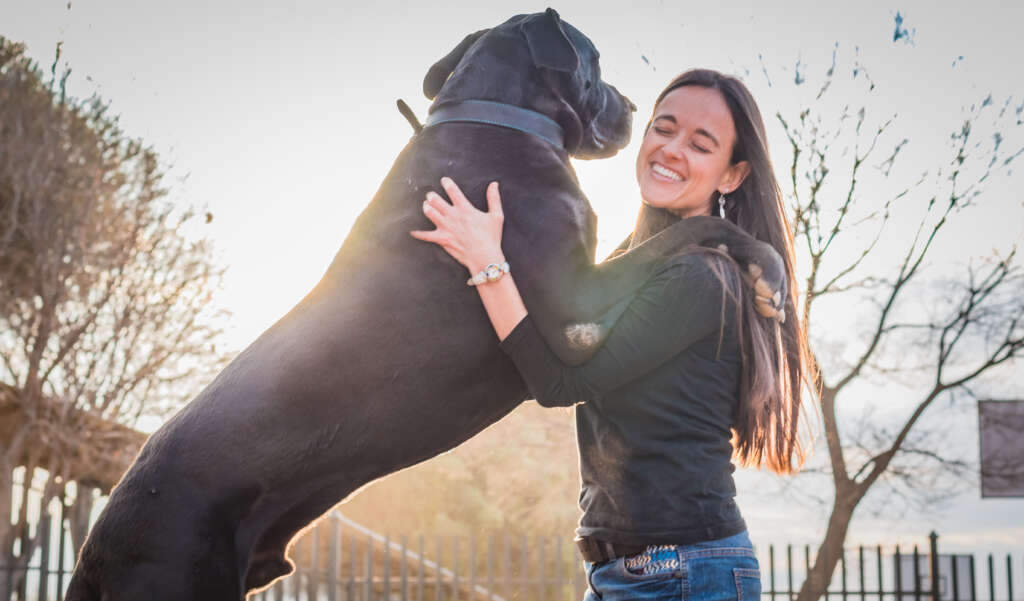 dog jumping on smiling woman